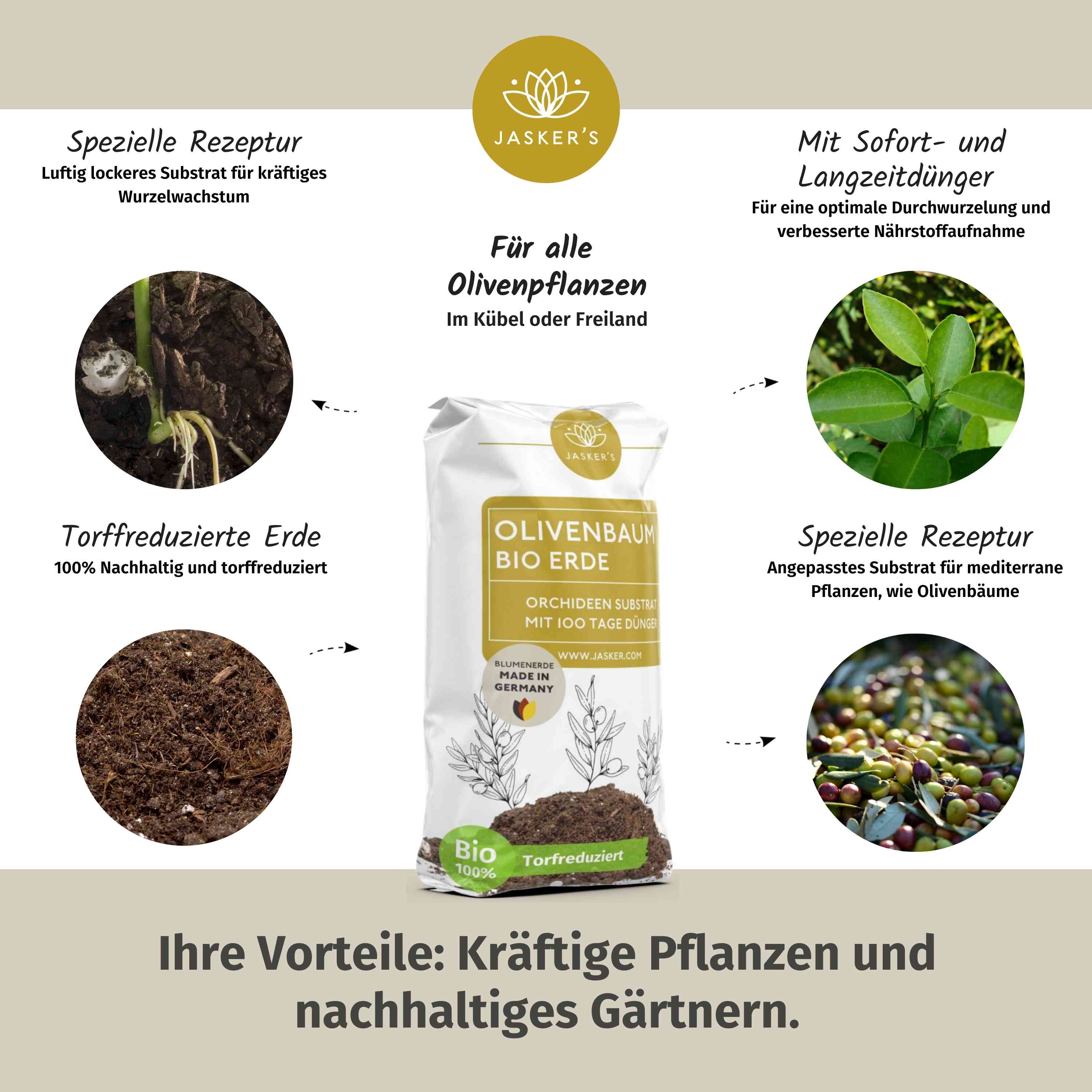 Olivenbaum Erde 50 L