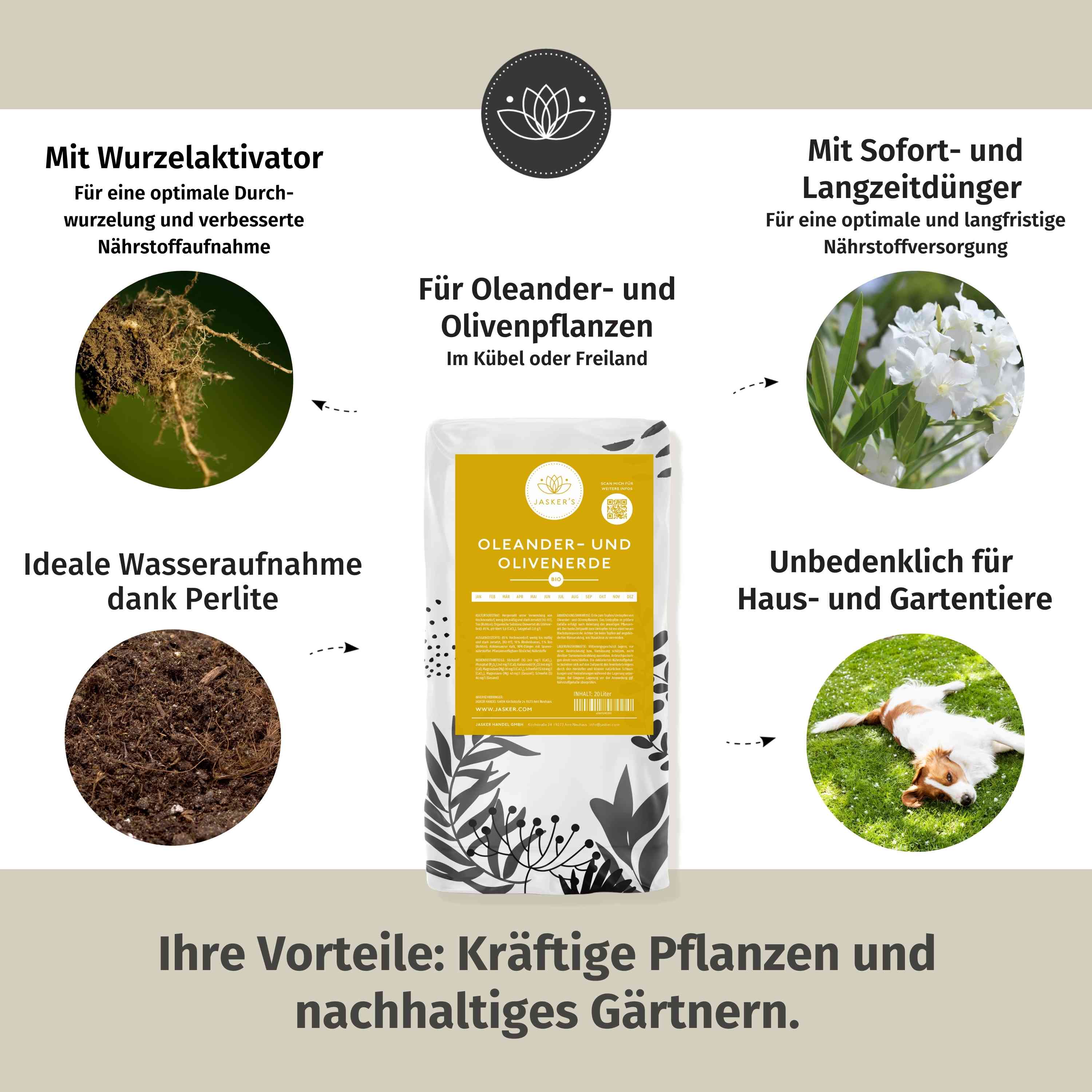 Oleander Erde 80 L