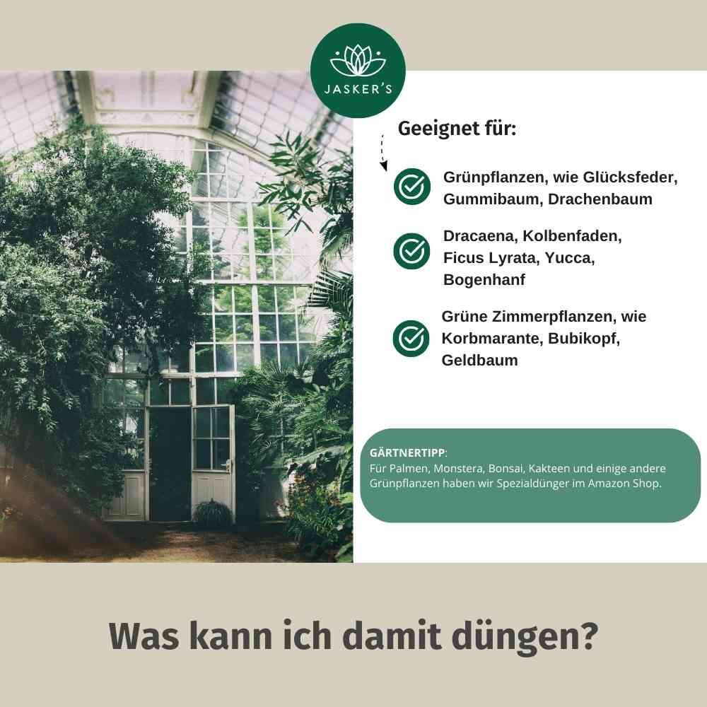 Grünpflanzen Dünger flüssig 5 Liter - Flüssigdünger für Grünpflanzen