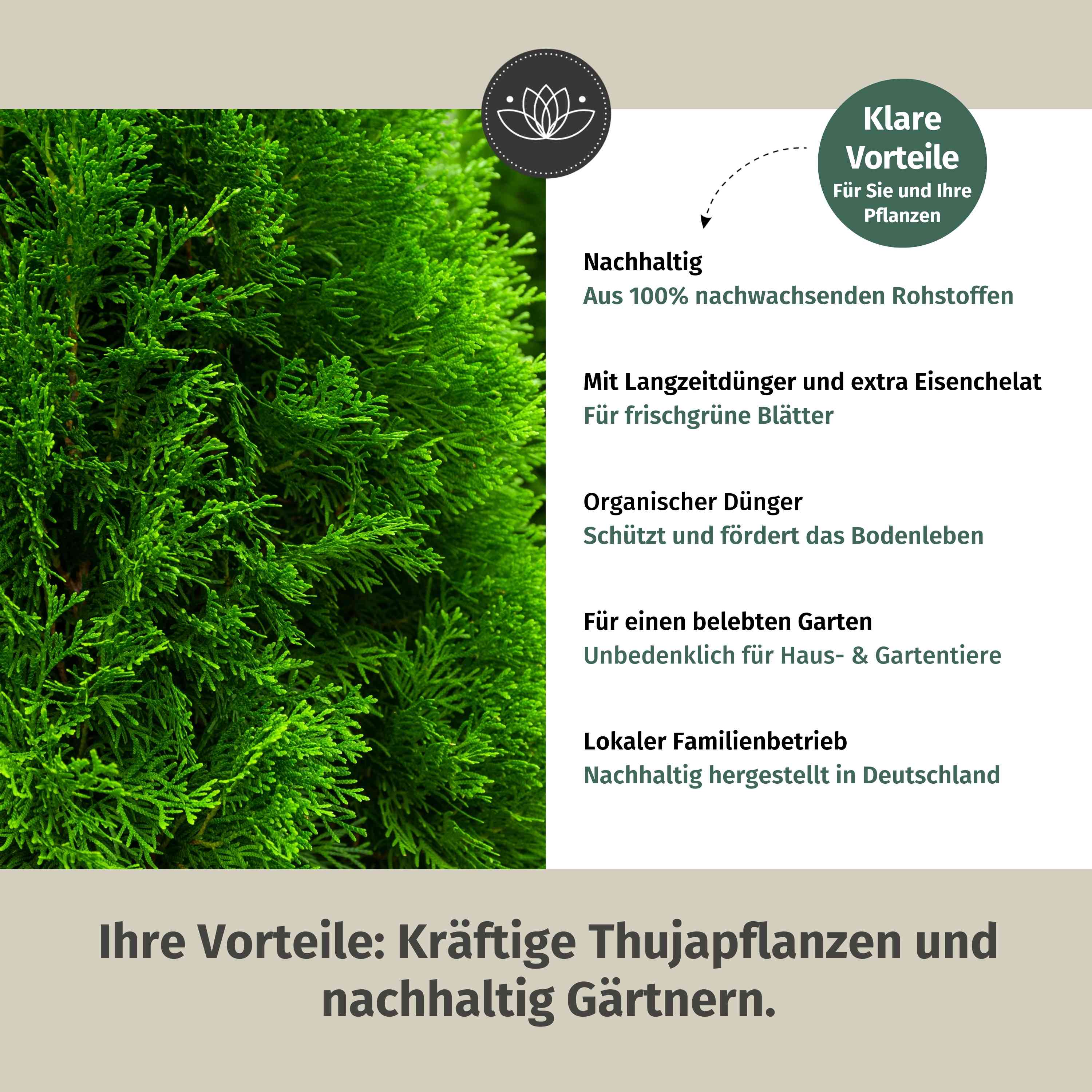 Thuja Dünger - 900g ca. 15m