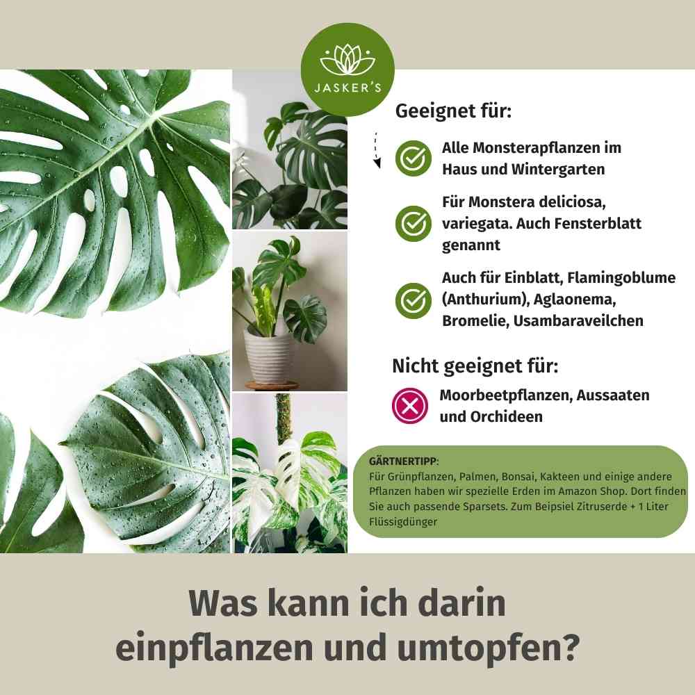 Monstera Erde 30 L - Bio Grünpflanzen Erde für Monstera Pflanzen