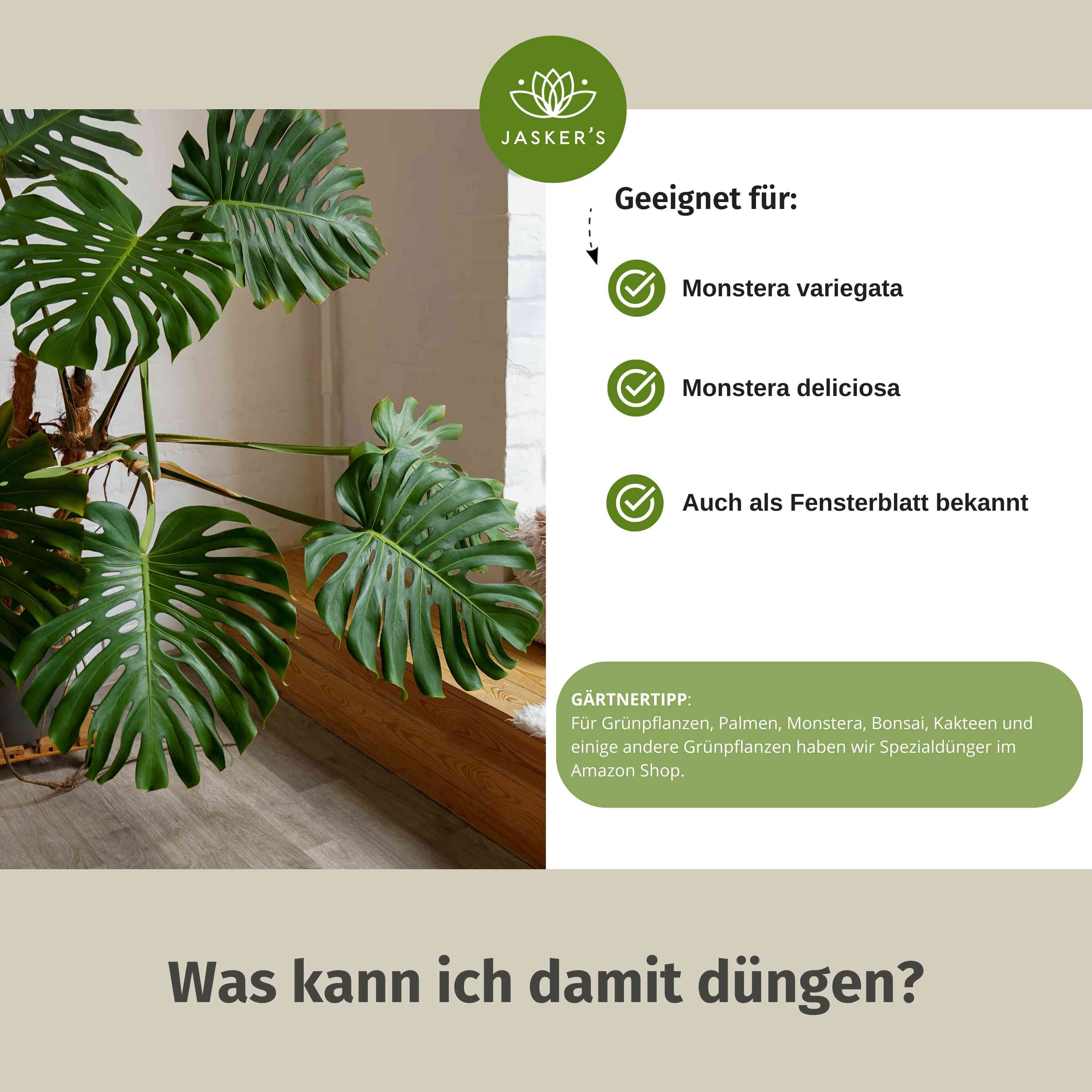 Monstera Dünger 5 Liter
