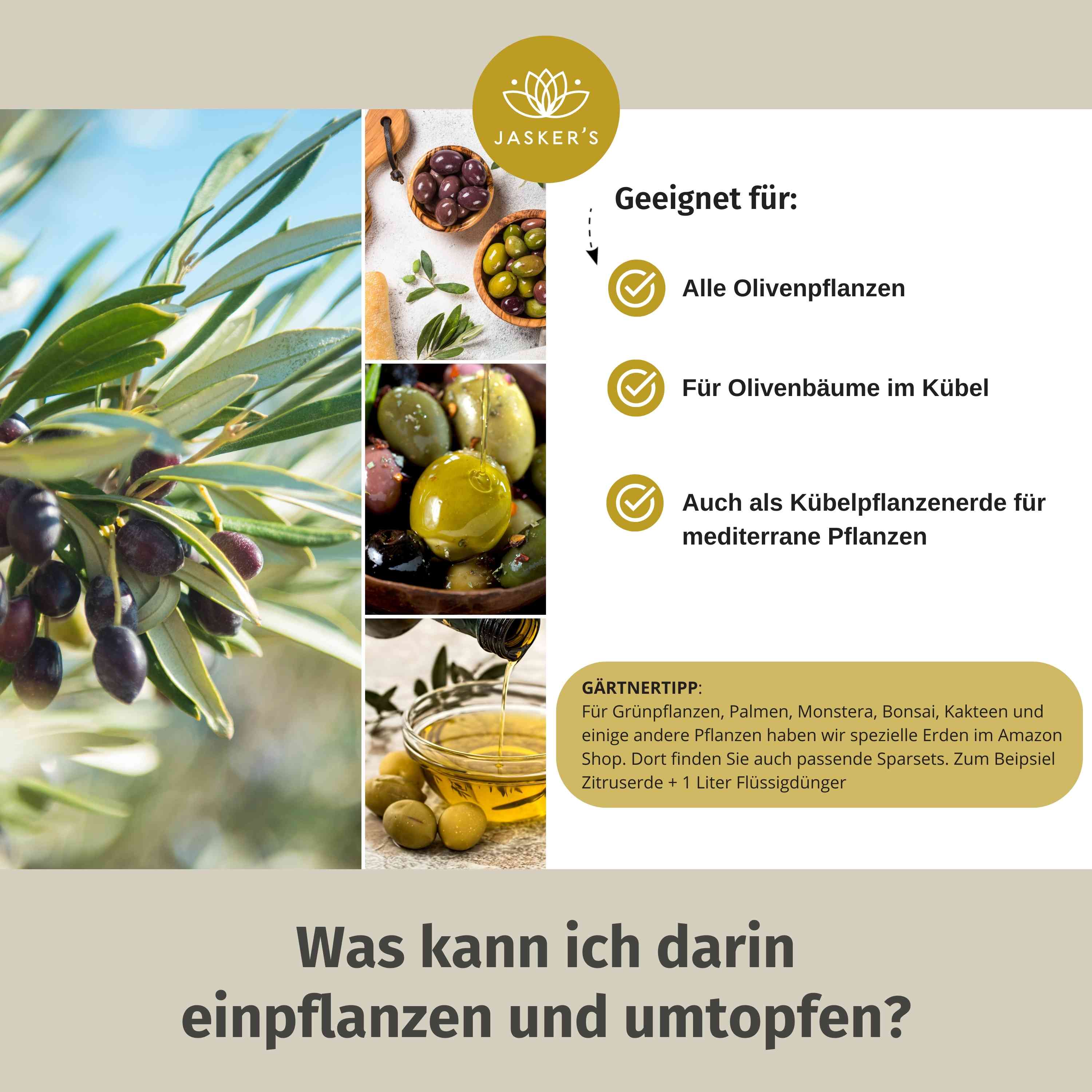 Olivenbaum Erde 80 L (4x20L)
