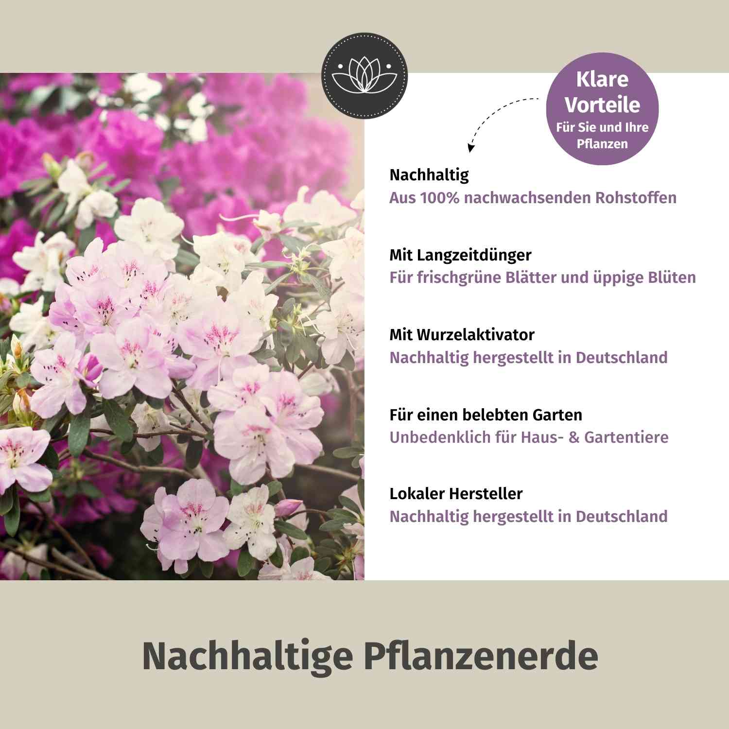 Rhododendronerde - 10 L