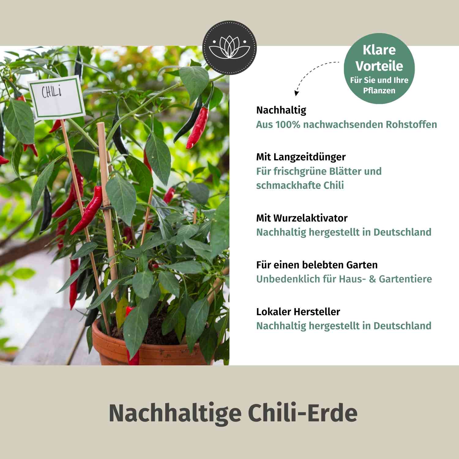 Chilierde Bio 20L - Erde für Chilis