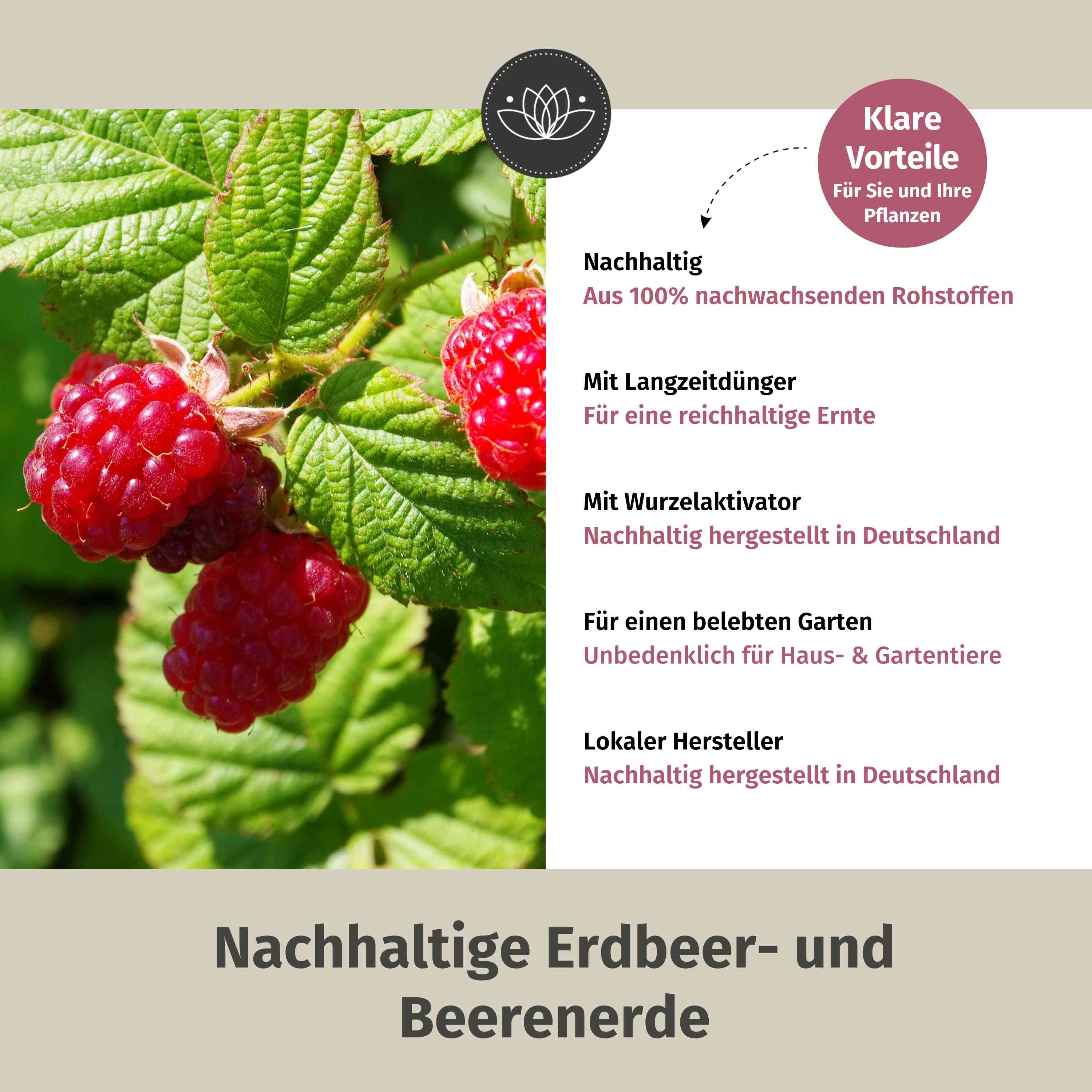Erdbeererde Bio für schmackhafte Früchte - 10L