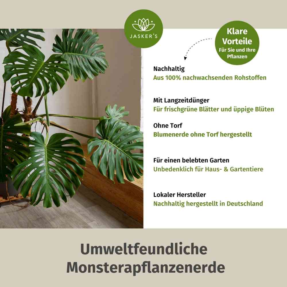 Monstera Erde 30 L - Bio Grünpflanzen Erde für Monstera Pflanzen