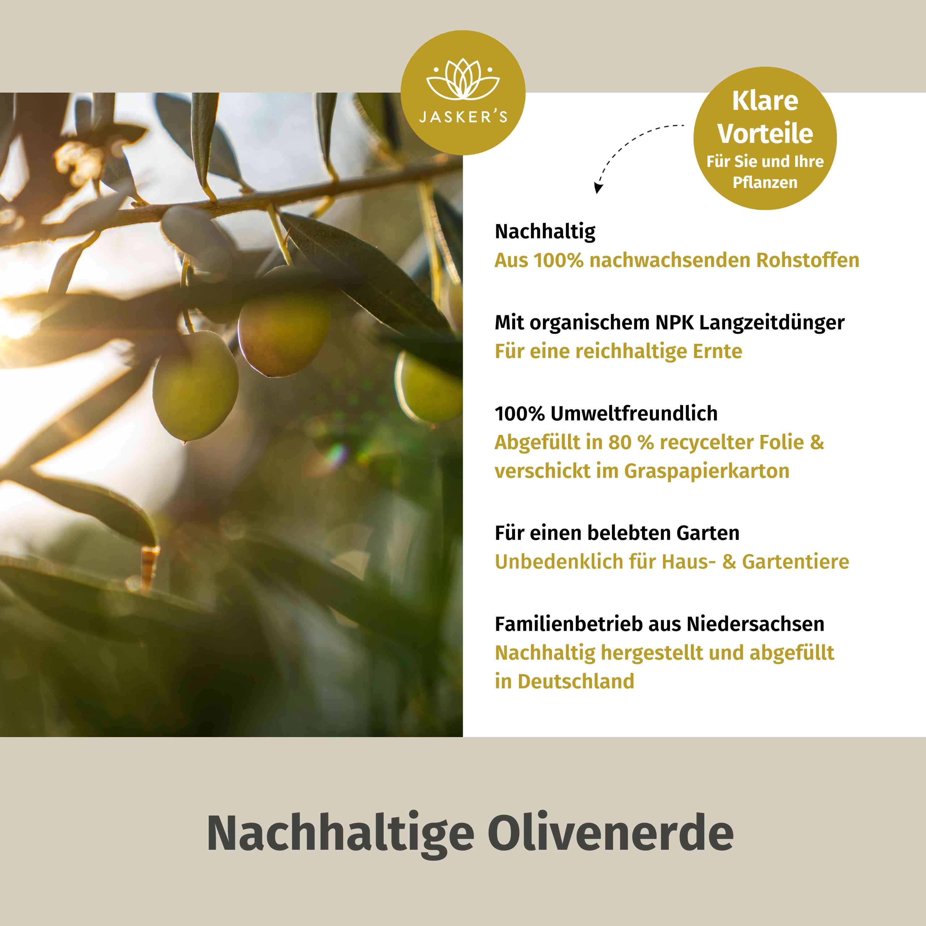 Olivenbaum Erde 50 L