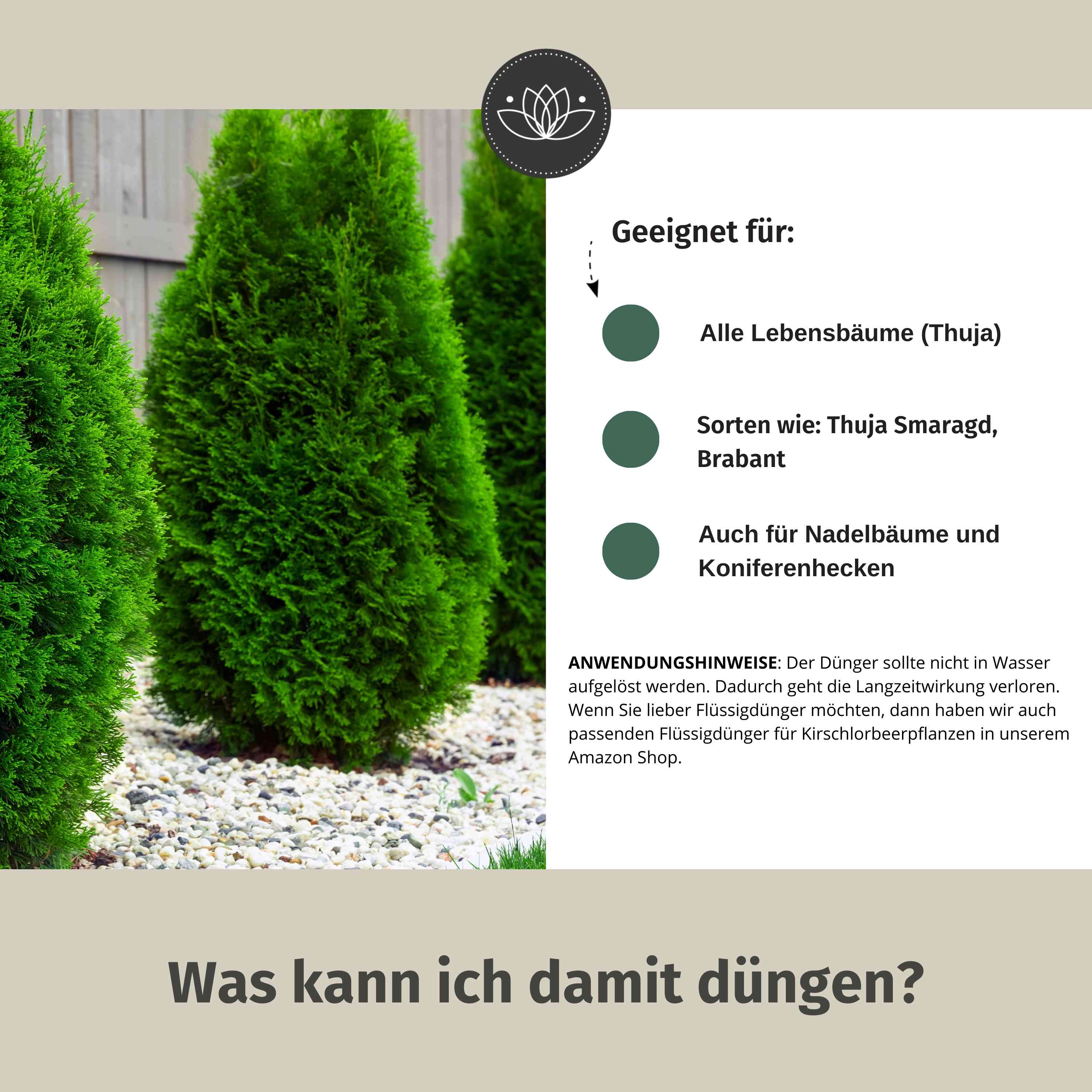 Thuja Dünger - 900g ca. 15m
