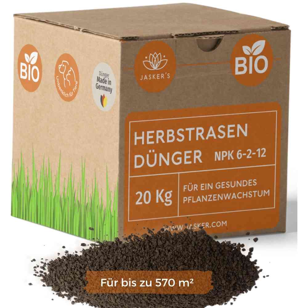 Herbstrasendünger Bio 20 Kg