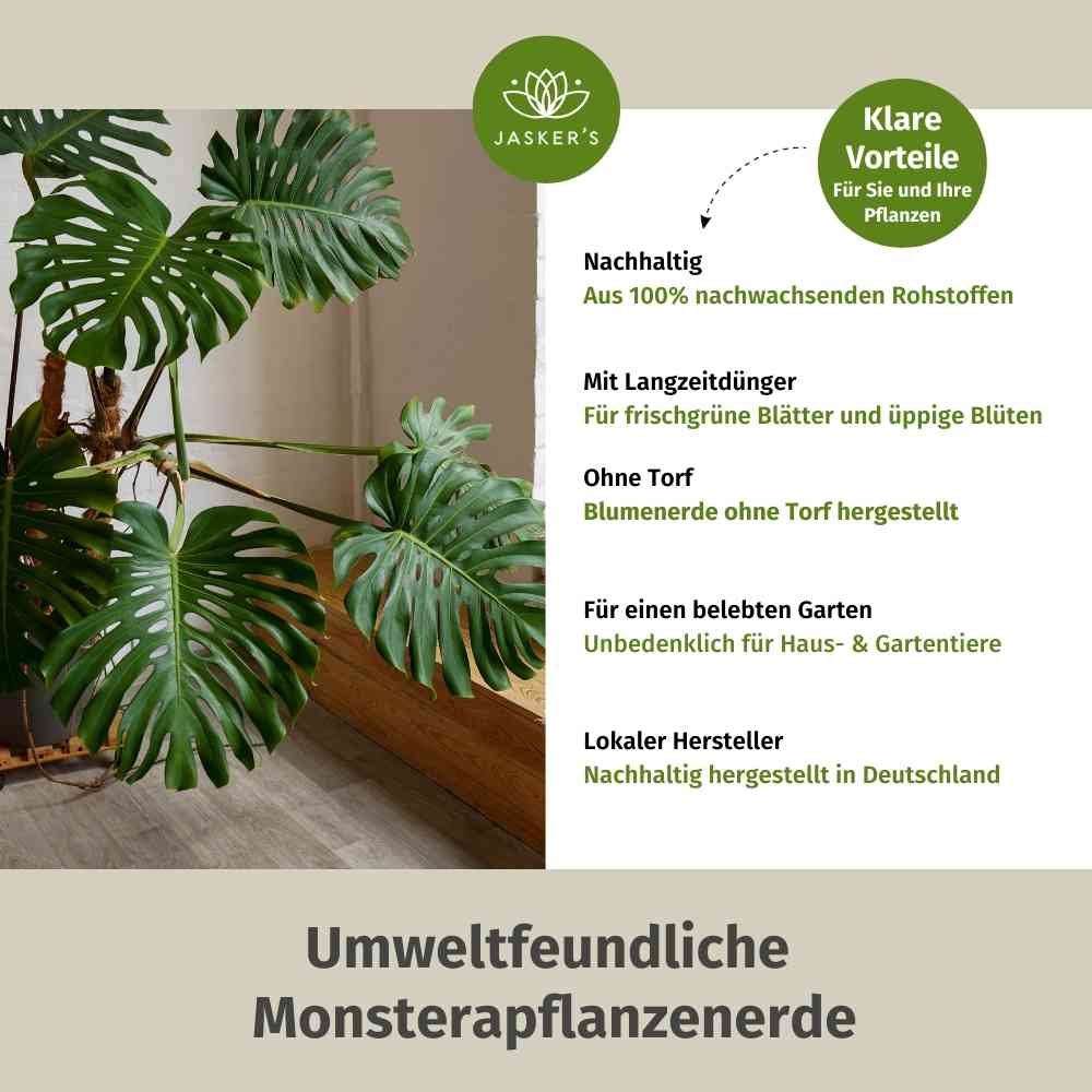 Monstera Erde 20 L - Bio Grünpflanzen Erde für Monstera Pflanzen