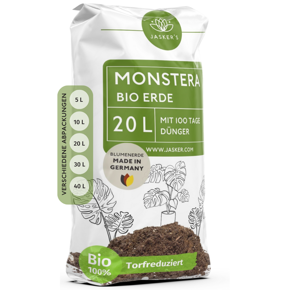 Monstera Erde