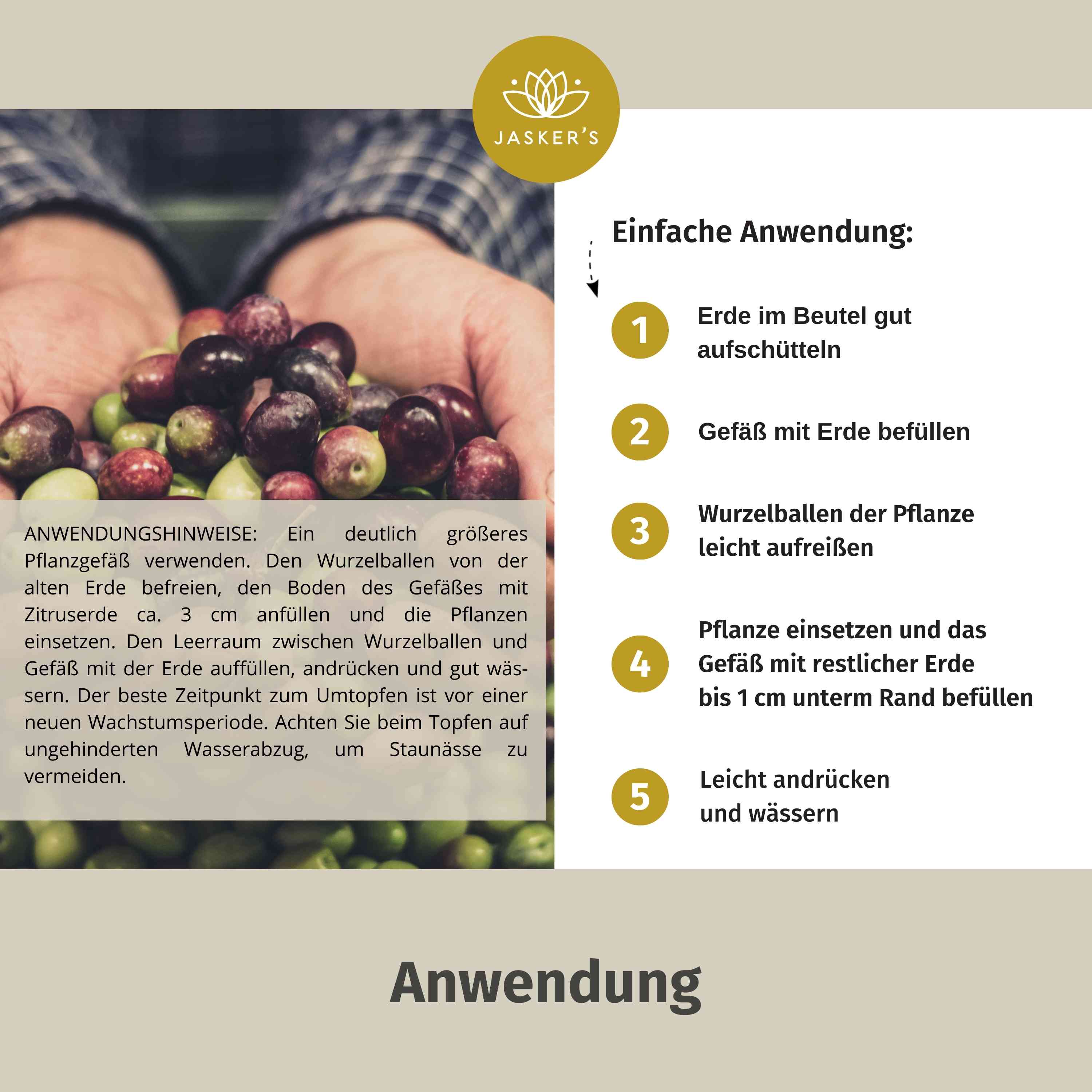 Olivenbaum Erde 10 L