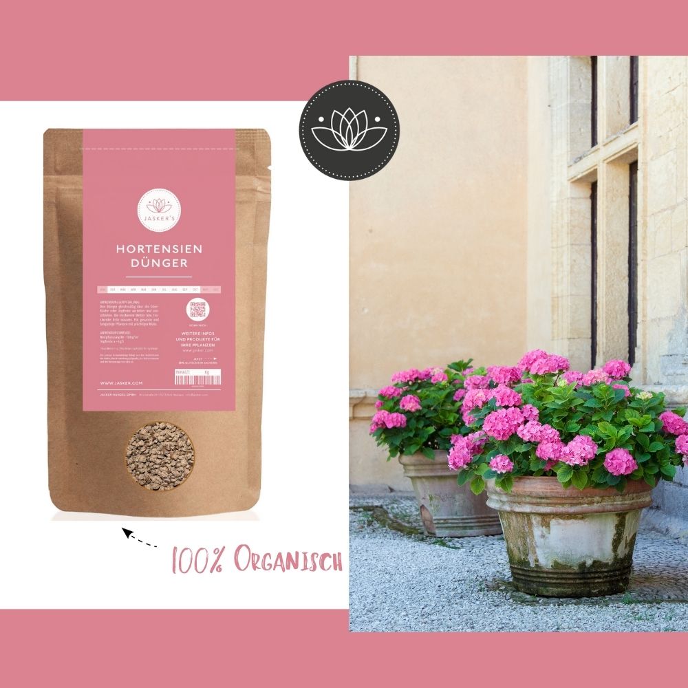 Hortensien Dünger - Dünger für alle Hortensienarten - 900g ca. 15 Pflanzen