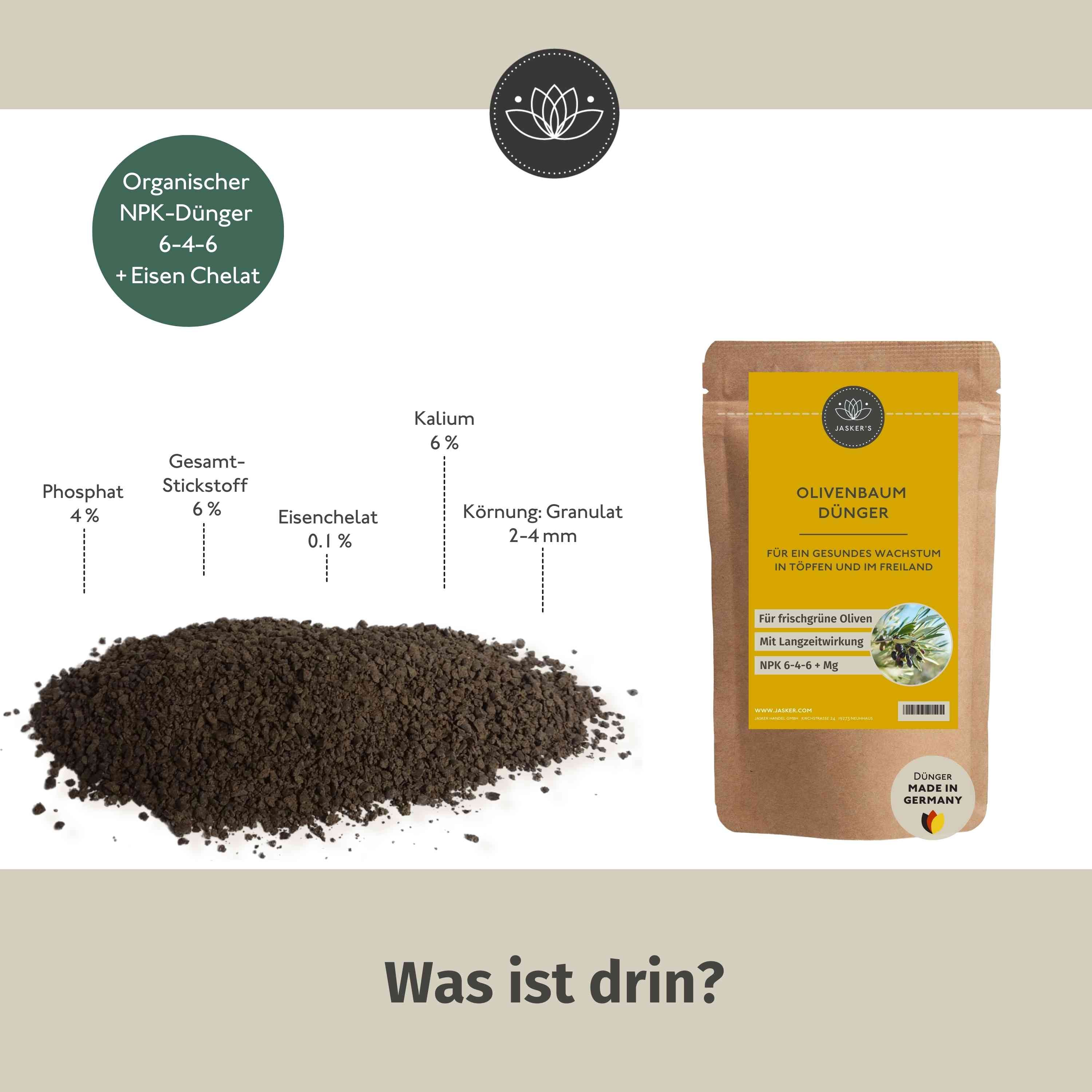 Olivenbaumdünger - 900 g