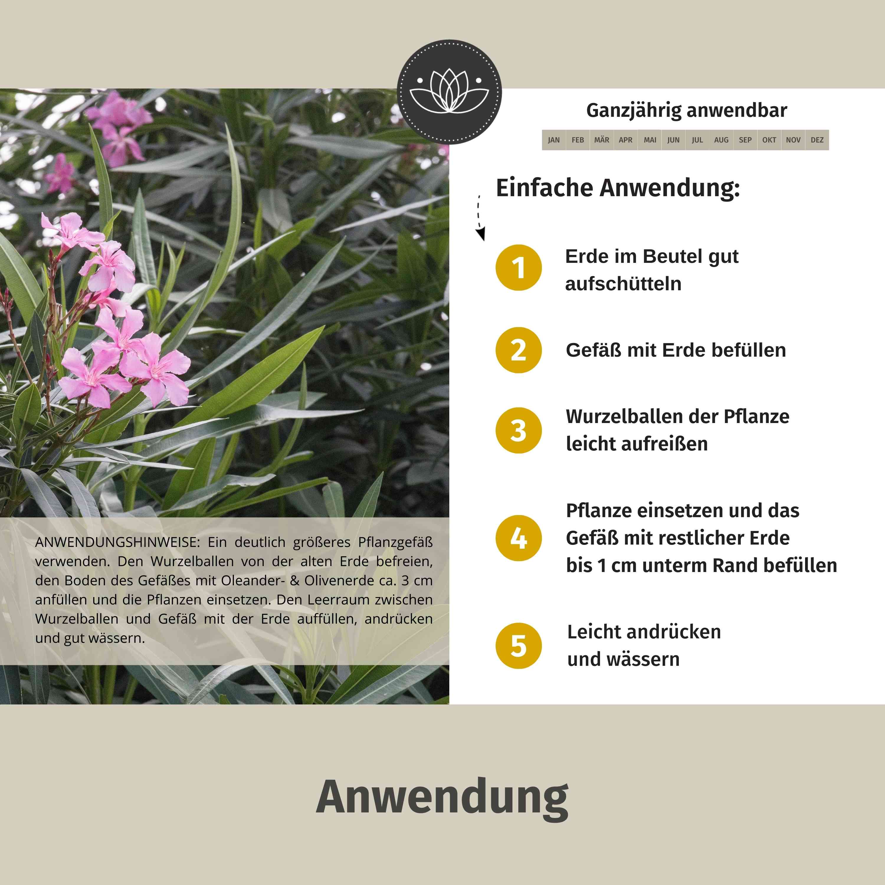 Oleander Erde 80 L