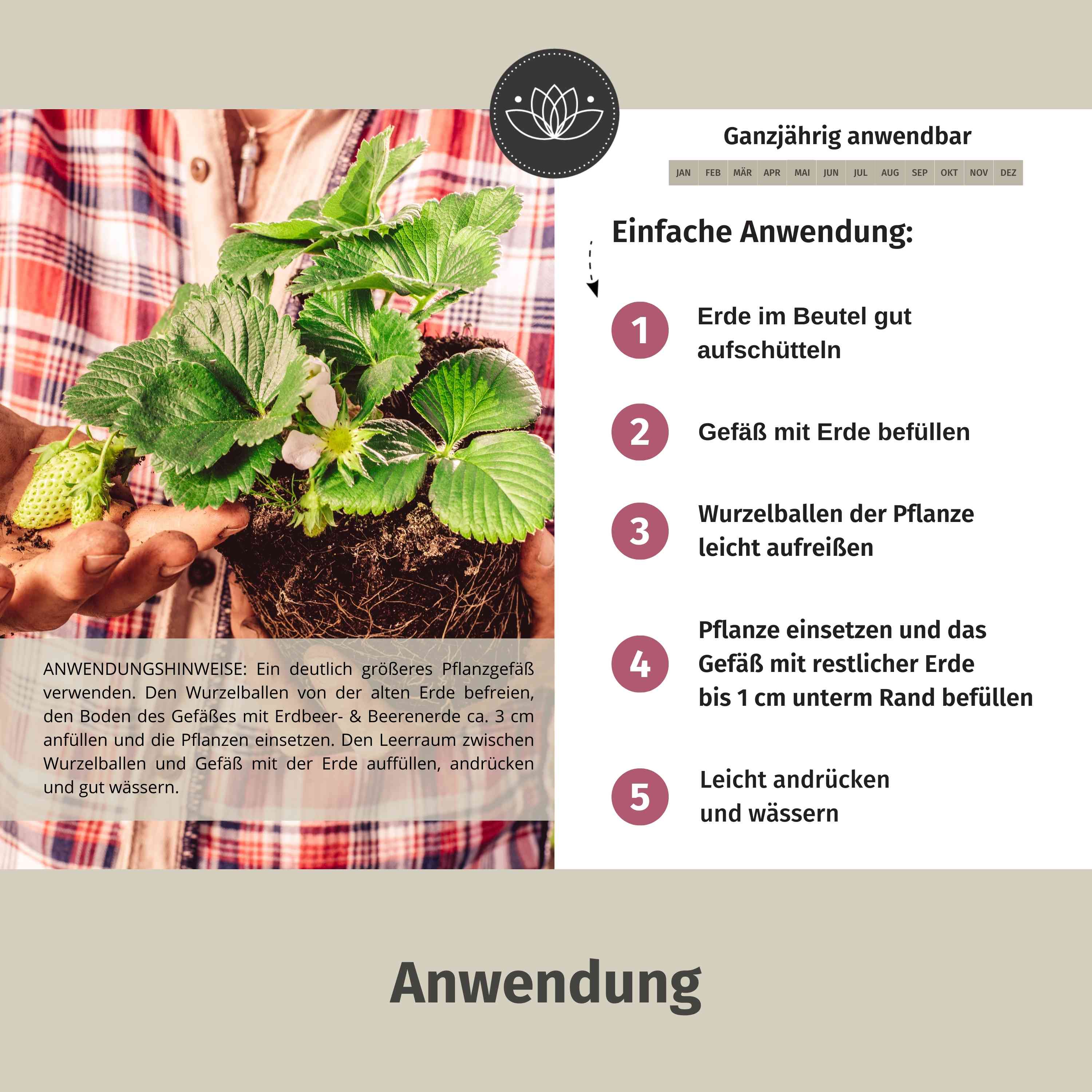 Erdbeererde Bio für schmackhafte Früchte - 10L