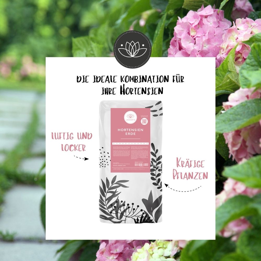 Hortensien Dünger - Dünger für alle Hortensienarten - 900g ca. 15 Pflanzen
