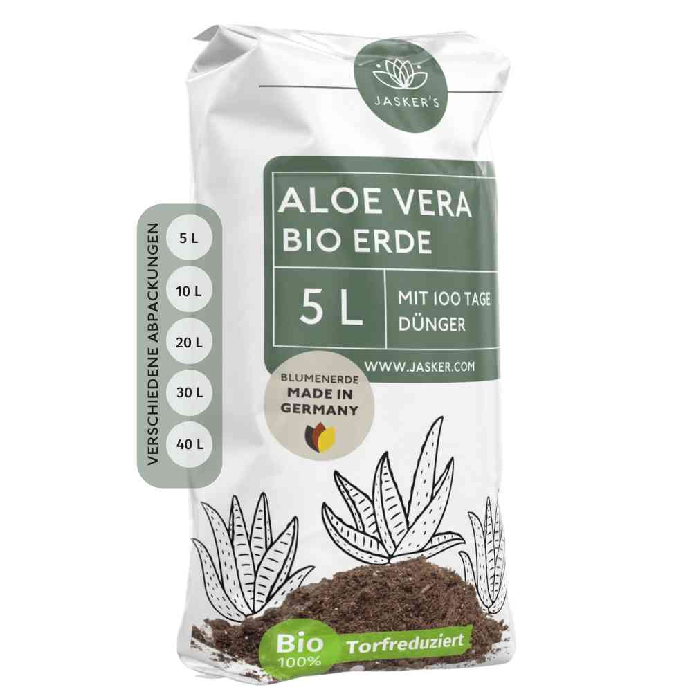 welche erde braucht eine aloe vera pflanze Aloe Vera Erde