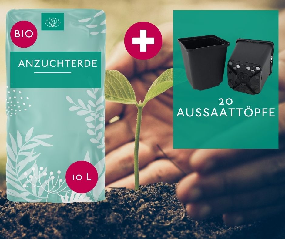 Anzuchterde Set Erde + Töpfe - 10 L + 20 Töpfe 9x9x9cm
