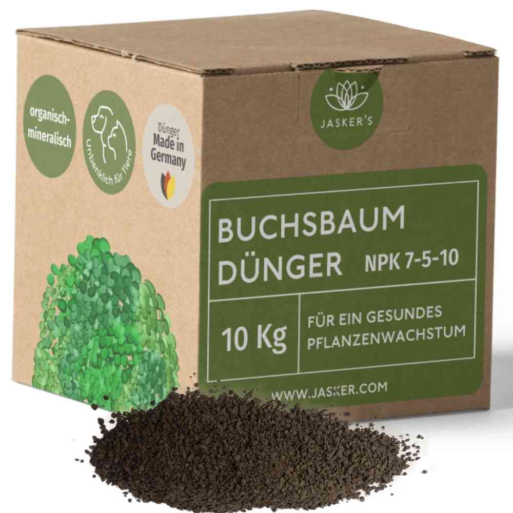 Buchsbaum Dünger