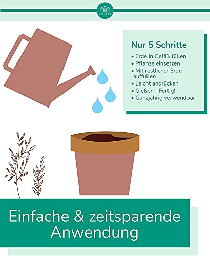 Bonsaierde 10 L + 250ml Bonsaidünger