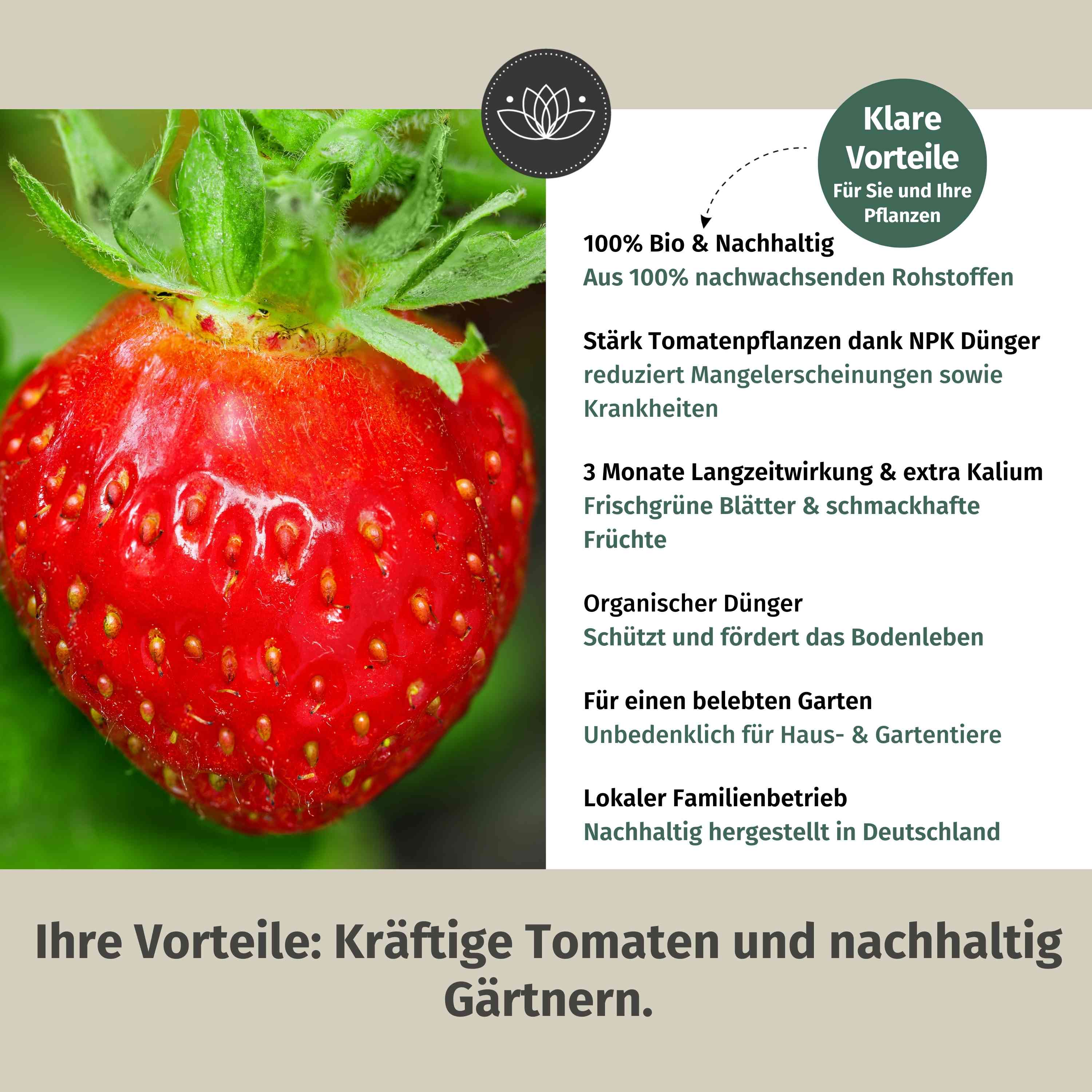 Erdbeerdünger | Optimaler Dünger Für Alle Erdbeer-Sorten