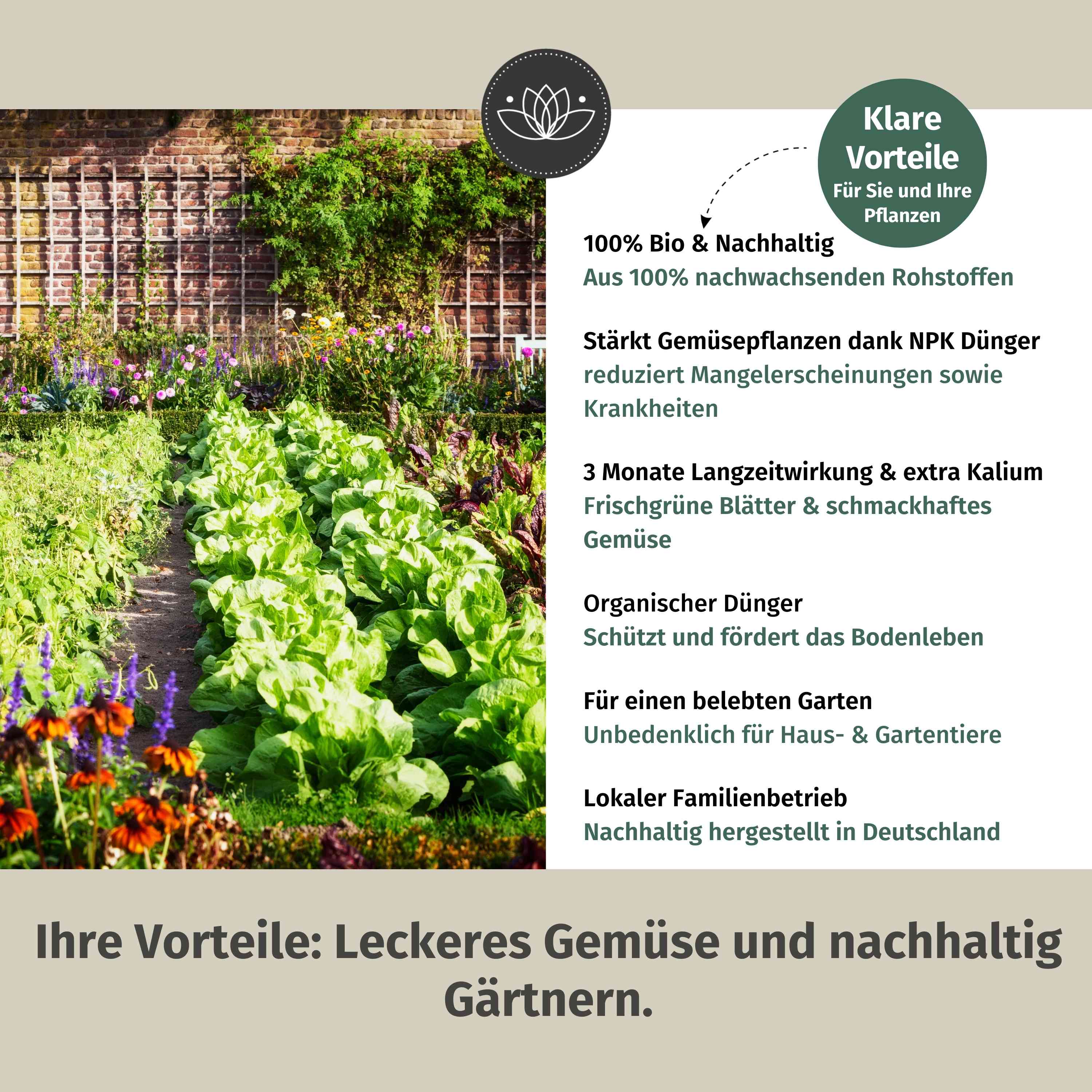 Gemüsedünger Bio Langzeit - 900 g