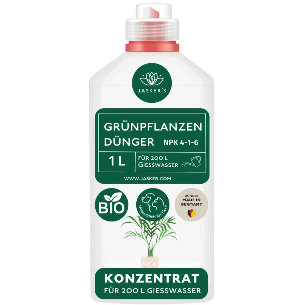 Grünpflanzen Dünger flüssig 1 Liter - Flüssigdünger für Grünpflanzen