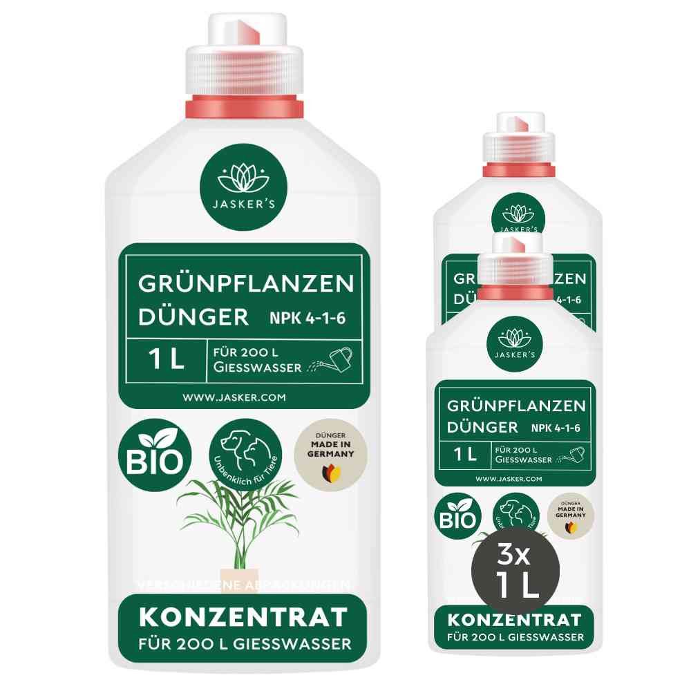 Grünpflanzen Dünger flüssig 3 Liter - Flüssigdünger für Grünpflanzen