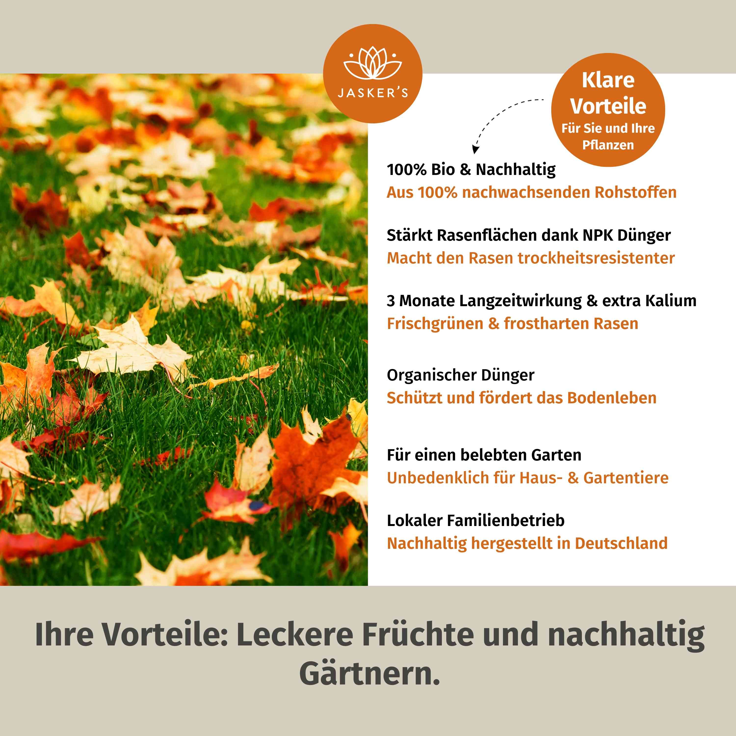 Herbstrasendünger Bio 20 Kg