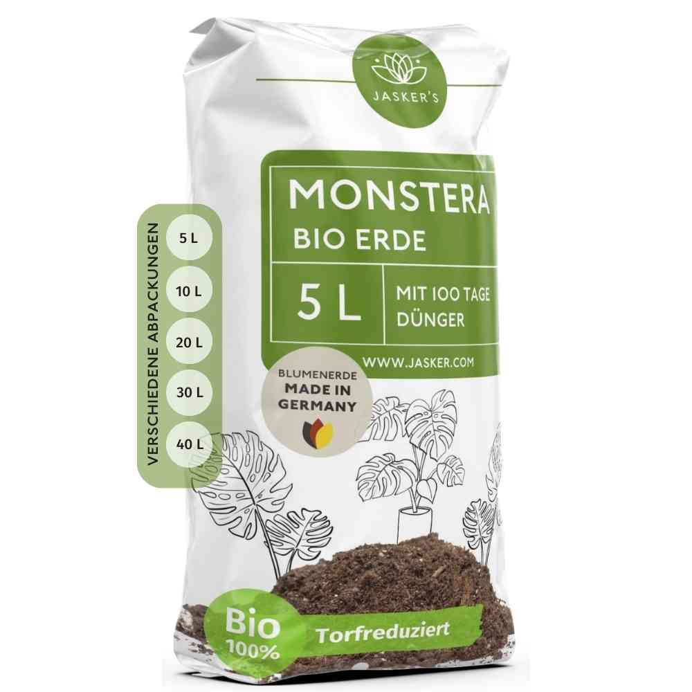 Monstera Erde