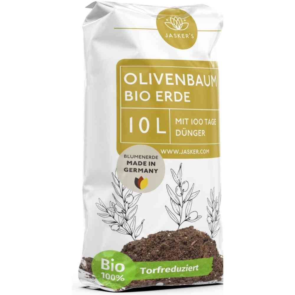 Olivenbaum Erde 🪴 Die richtige Erde für mediterrane Pflanzen