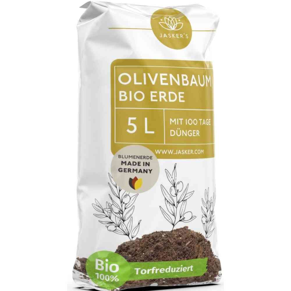 Olivenbaum Erde 🪴 Die richtige Erde für mediterrane Pflanzen