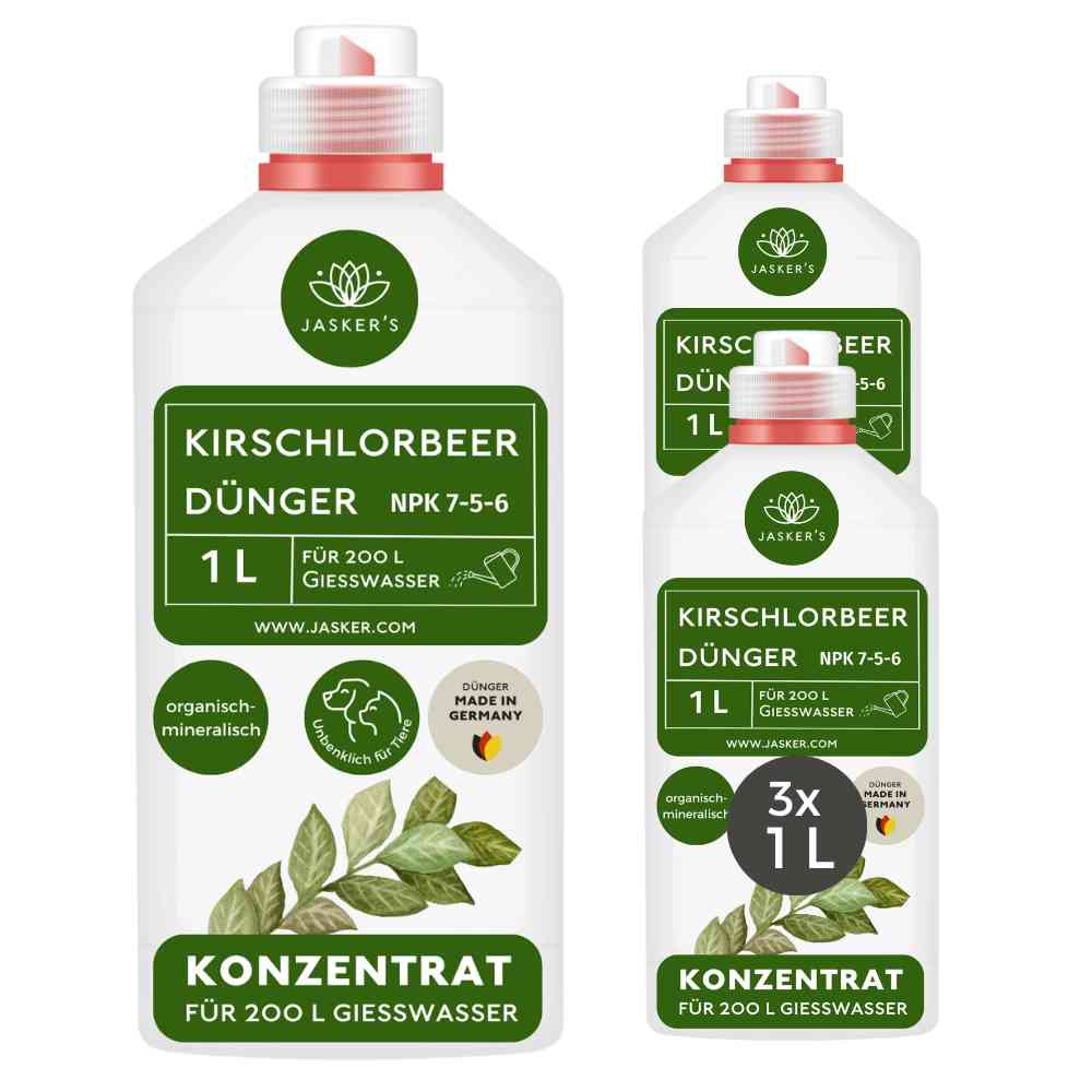 Kirschlorbeerdünger flüssig 3 Liter