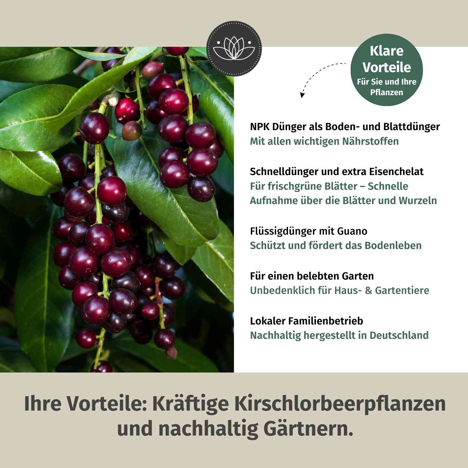 Kirschlorbeerdünger flüssig 10 Liter