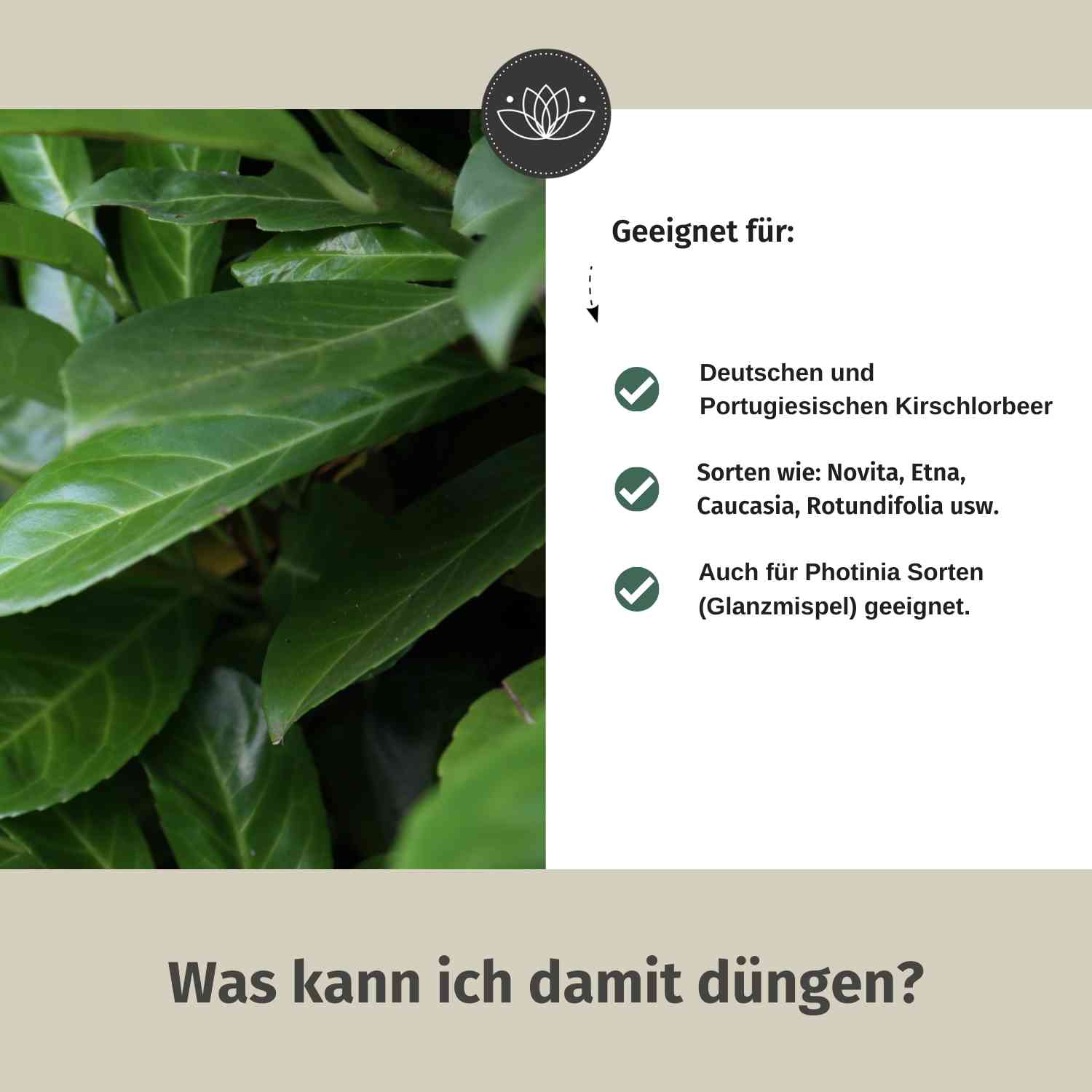 Kirschlorbeerdünger flüssig 500ml