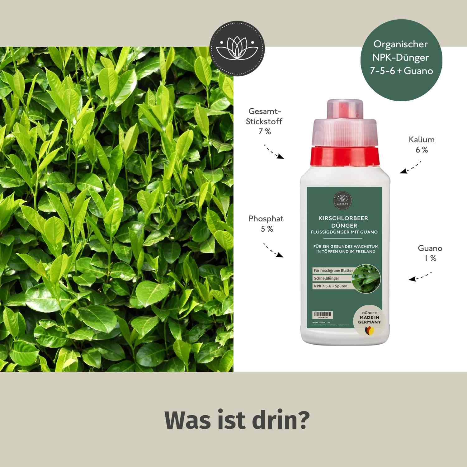Kirschlorbeerdünger flüssig 500ml