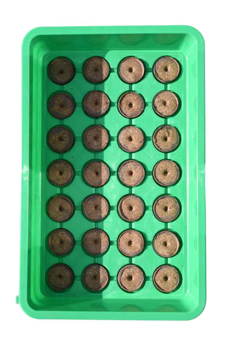 Kokos Quelltabletten 20 Stück - Kokoserde