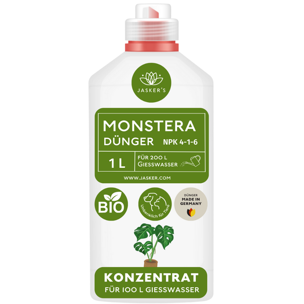 Monstera Dünger