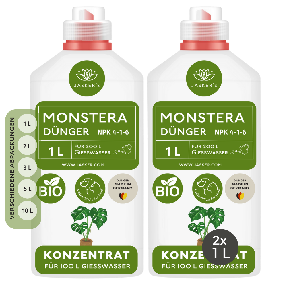 monstera düngen Monstera Dünger