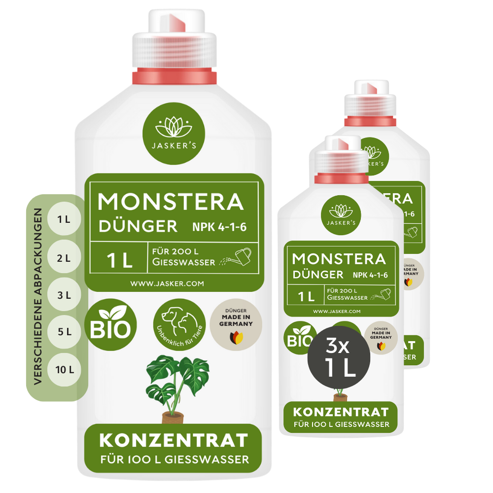 Monstera Dünger