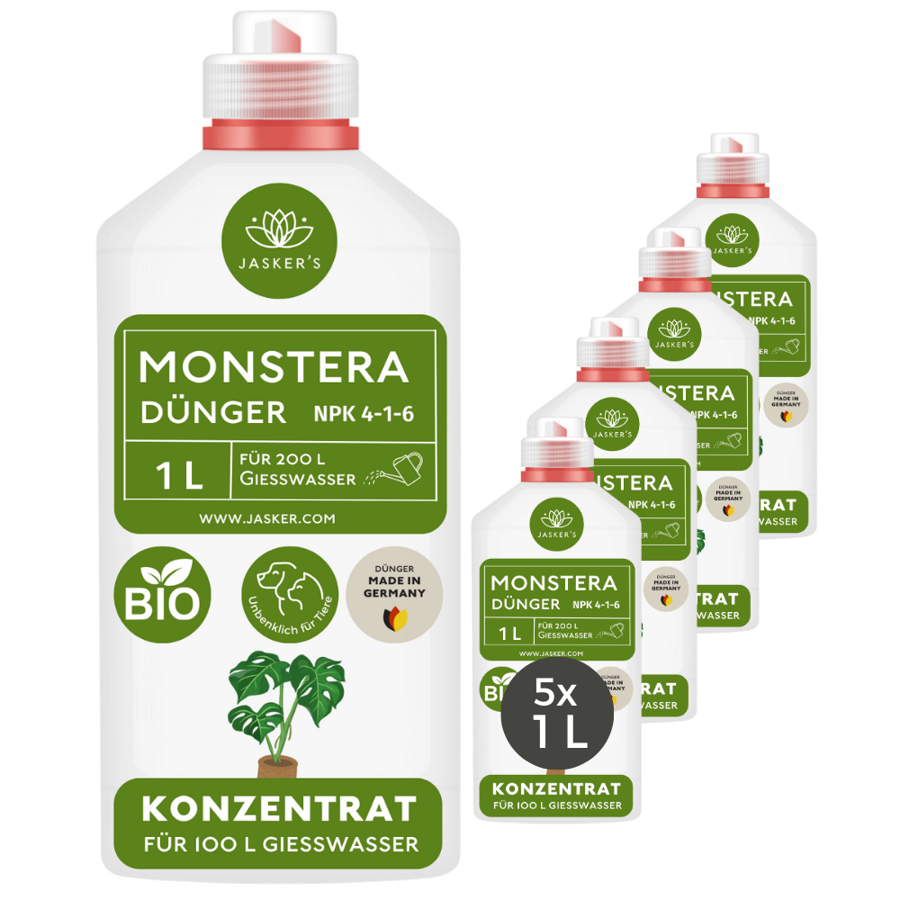 Monstera Dünger