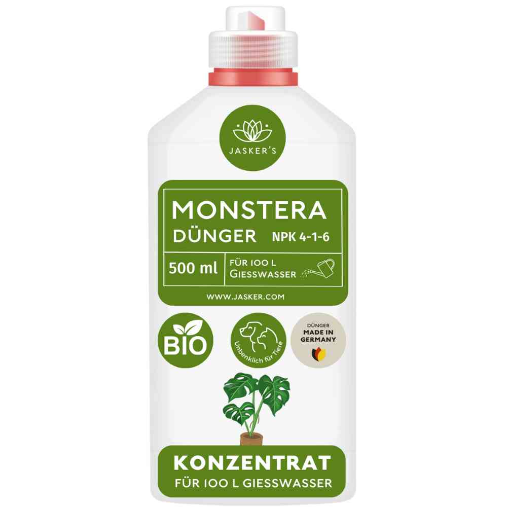 Monstera Dünger 500 ml