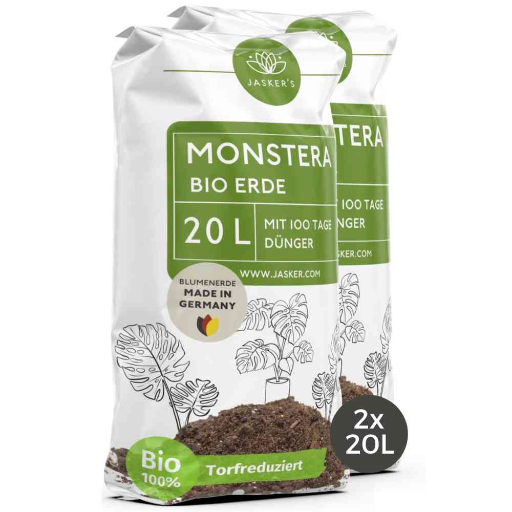 Monstera Erde - 5 L