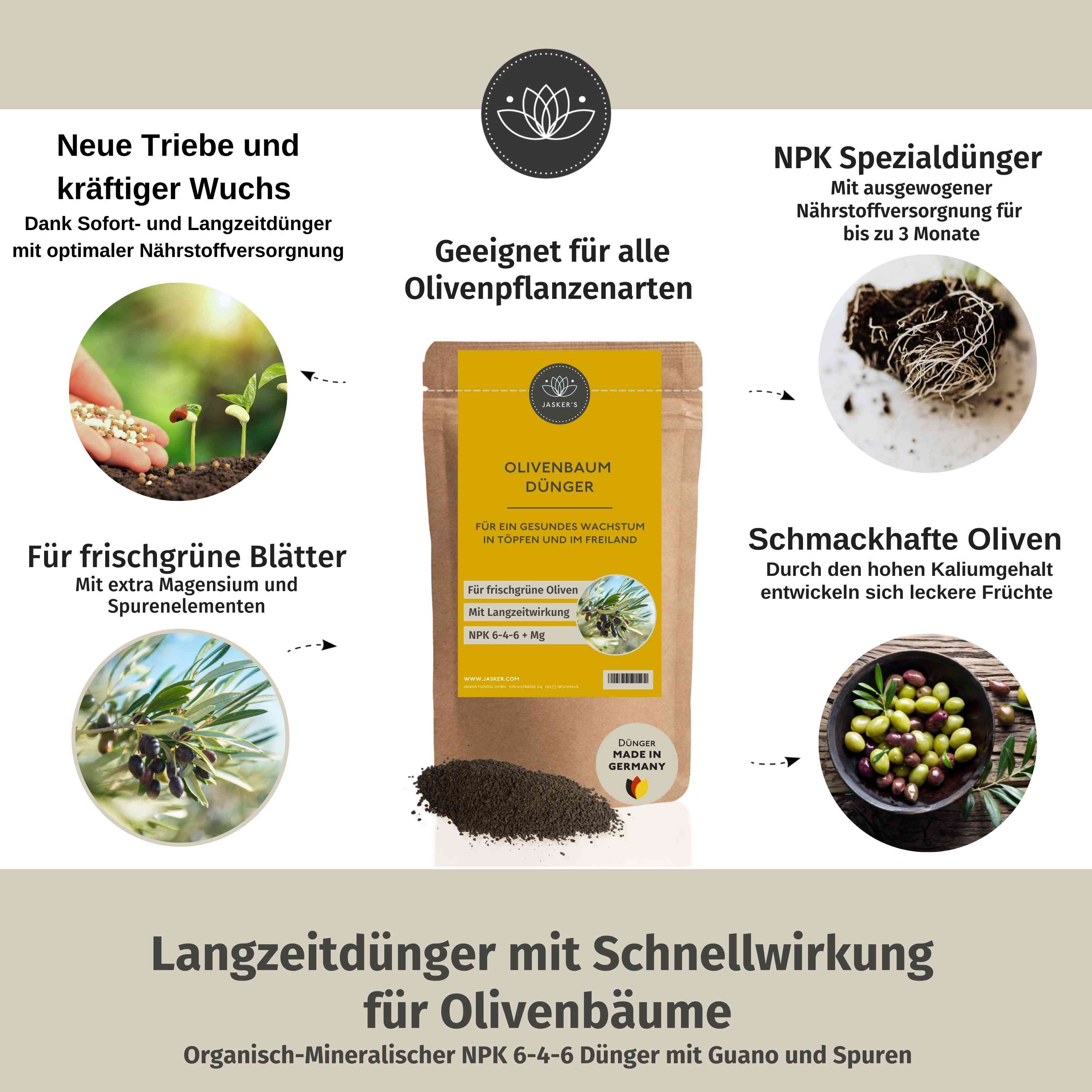 Olivenbaumdünger - 900 g