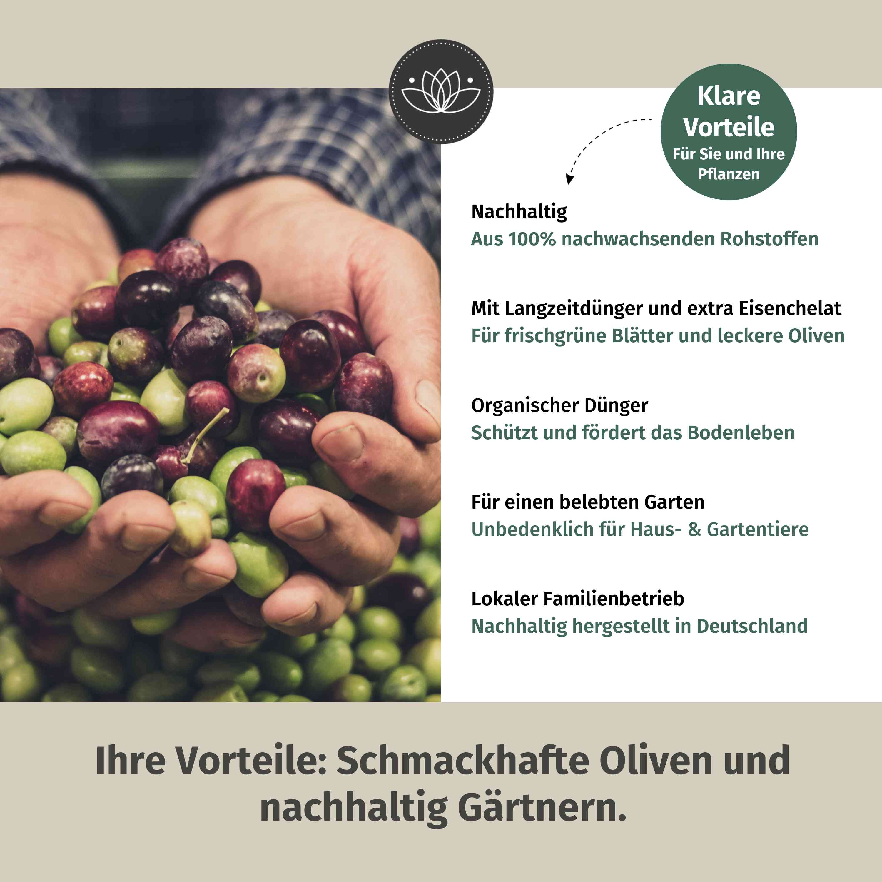 Olivenbaumdünger - 900 g