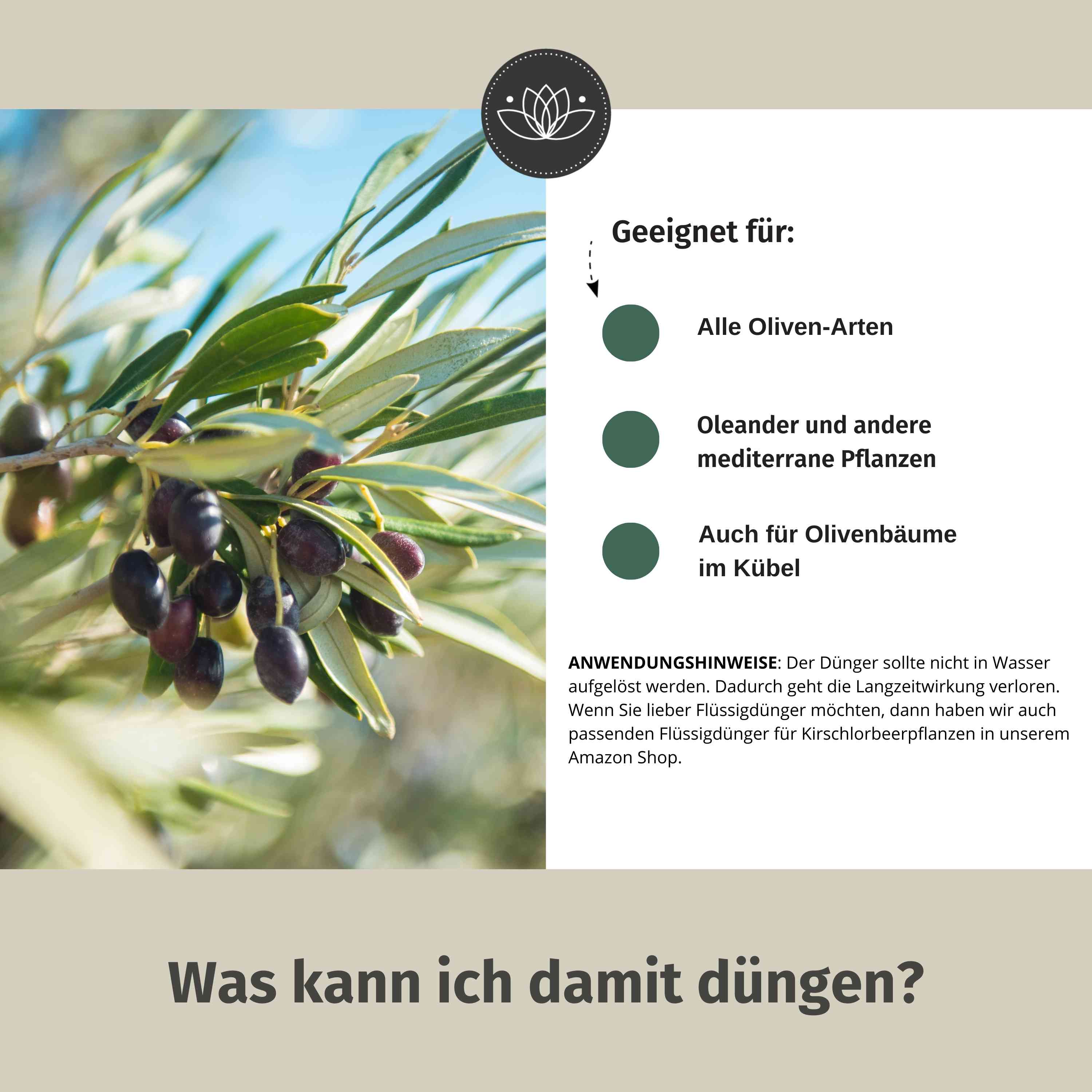 Olivenbaumdünger - 900 g