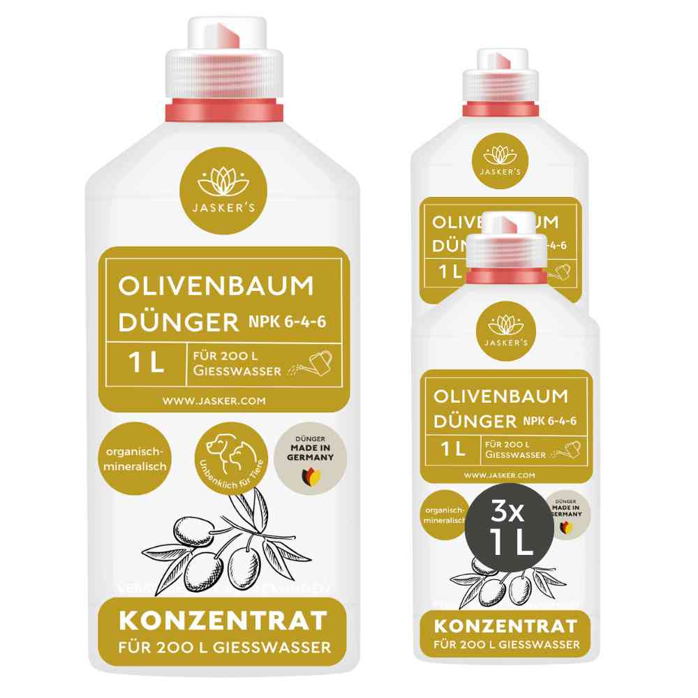 Olivenbaum Dünger flüssig 3 Liter - Oliven Dünger - Dünger für Olivenbaum