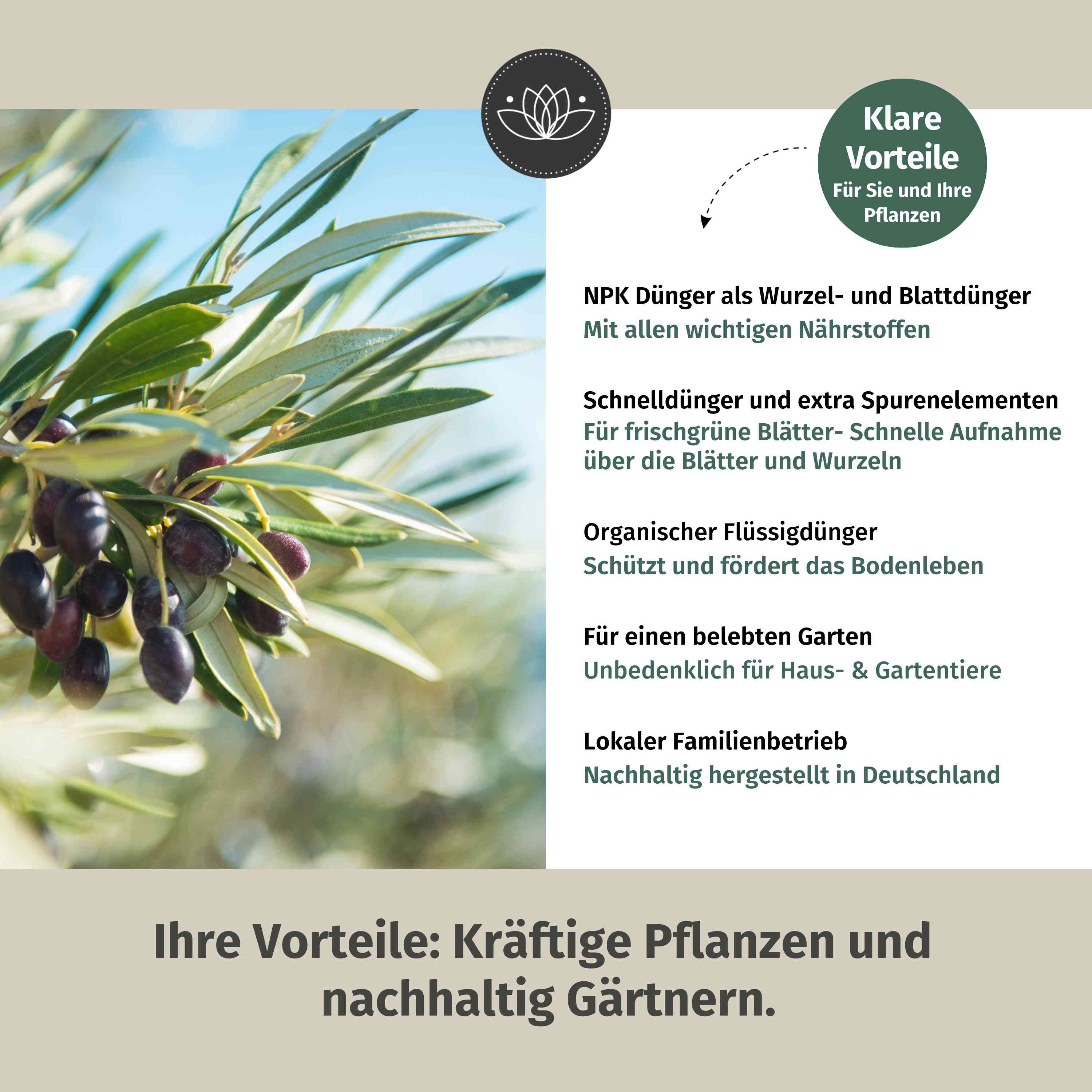 Olivenbaum Dünger flüssig 1 Liter - Oliven Dünger - Dünger für Olivenbaum